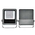 industrial flood light